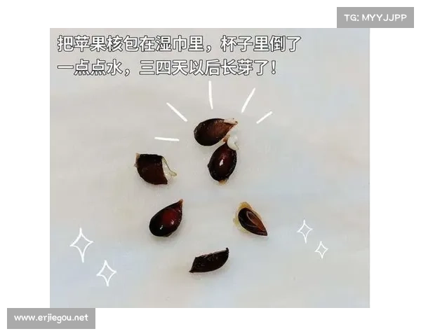 “水果核”别扔了,清水泡一泡,20天长成“小盆栽”,特治愈 “水果核”别扔了,清水泡一泡,20天长成“小盆栽”,特治愈
