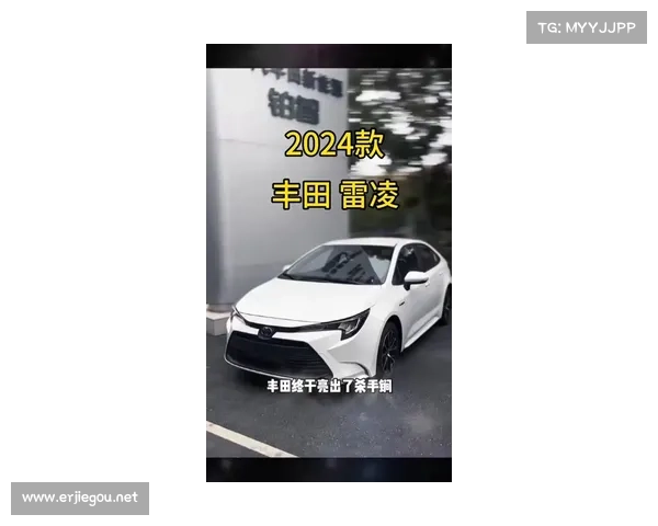 中级车后浪 全新换代雷凌奔涌在新一代潮头 中级车后浪 全新换代雷凌奔涌在新一代潮头